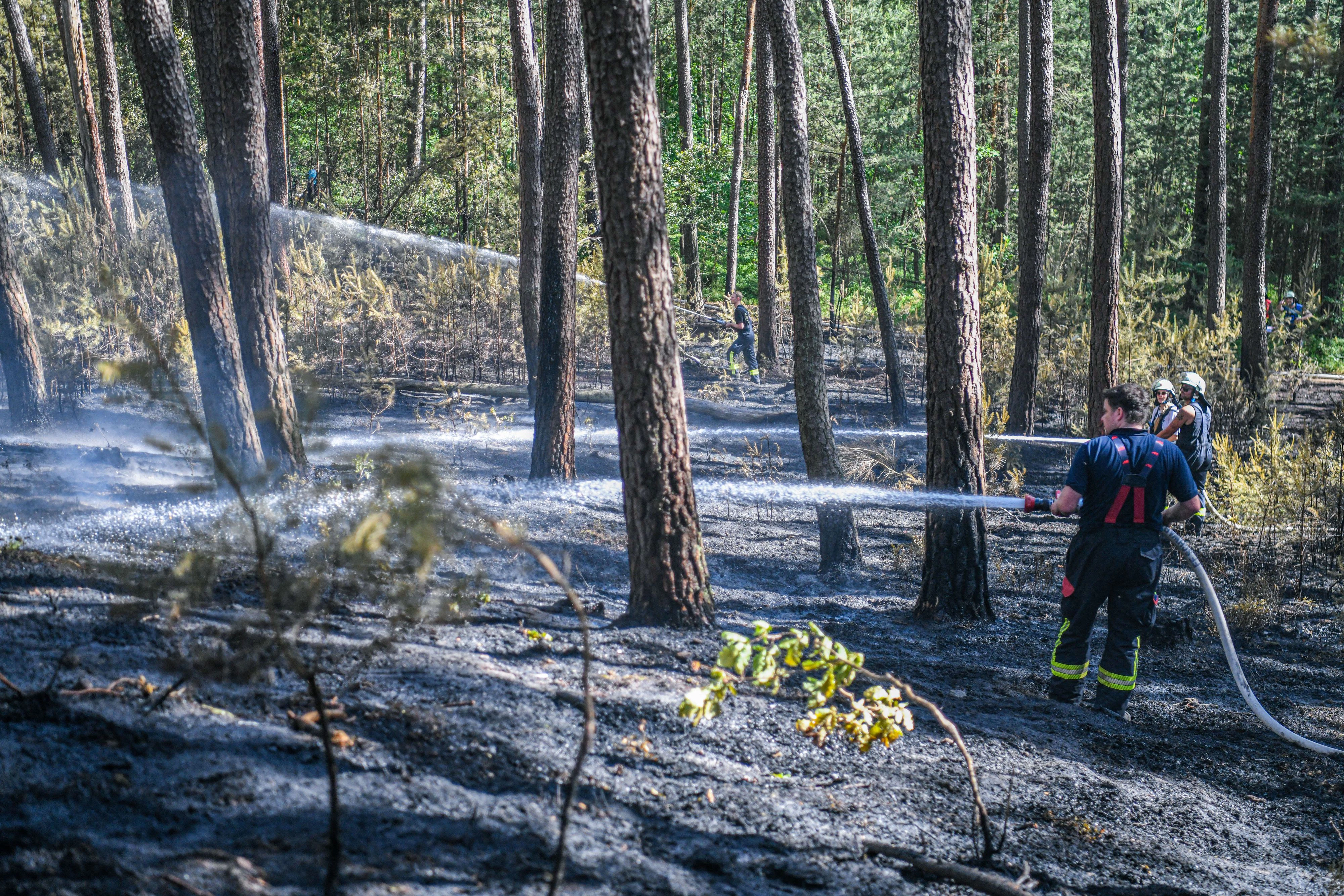 Feuerwehrmänner bekämpfen im Juni 2025 einen Waldbrand im Nürnberger Reichswald bei Wendelstein.